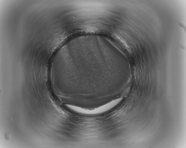 X0000094950496200712201141