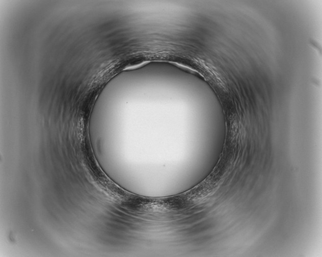 X0000094950498200712201141