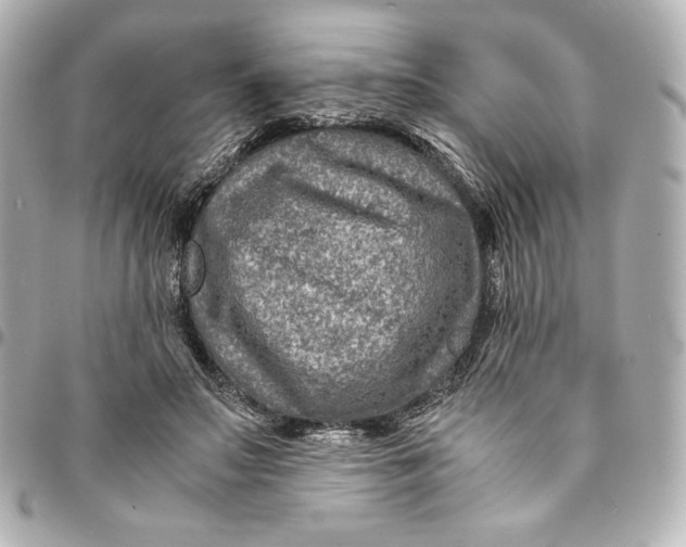 X0000094950499200712201141