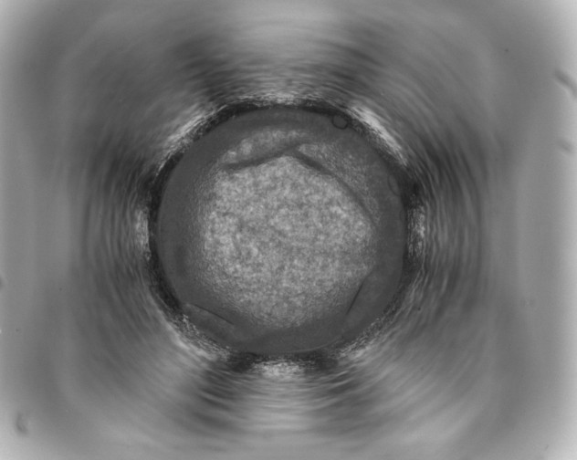 X0000094950500200712201141