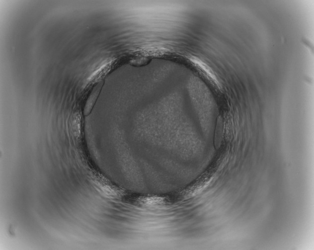 X0000094950501200712201141