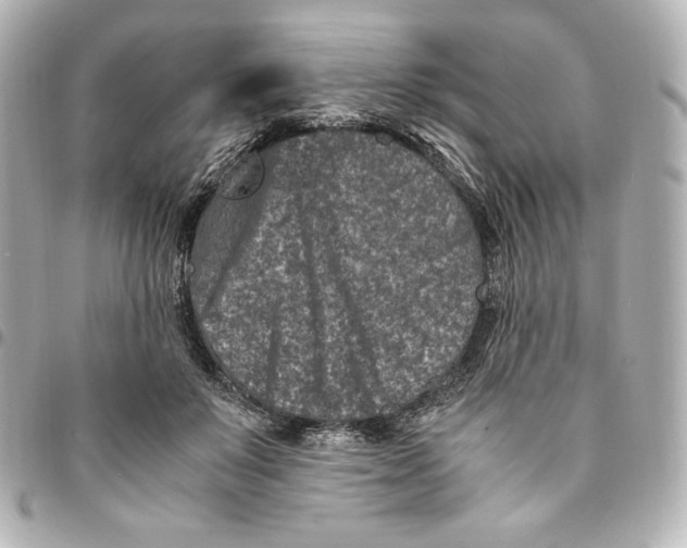 X0000094950503200712201141