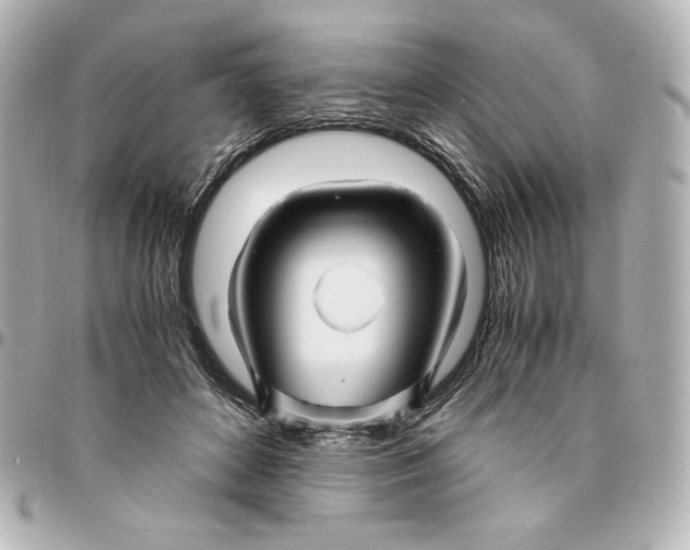 X0000094950504200712201141