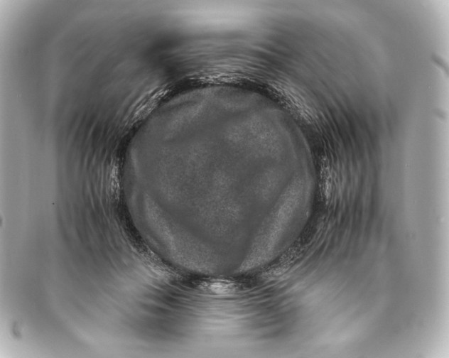 X0000094950506200712201141