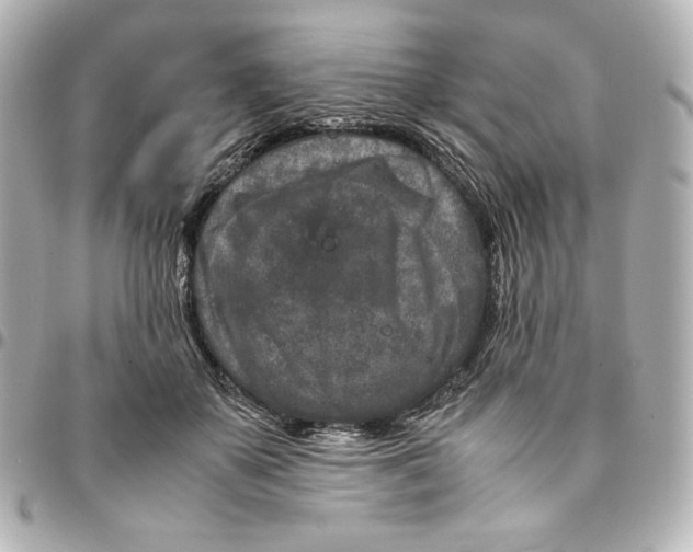 X0000094950507200712201141