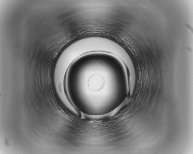 X0000094950508200712201141