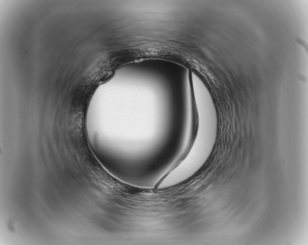 X0000094950509200712201141