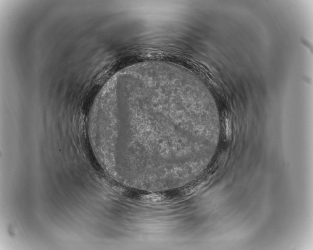 X0000094950511200712201141