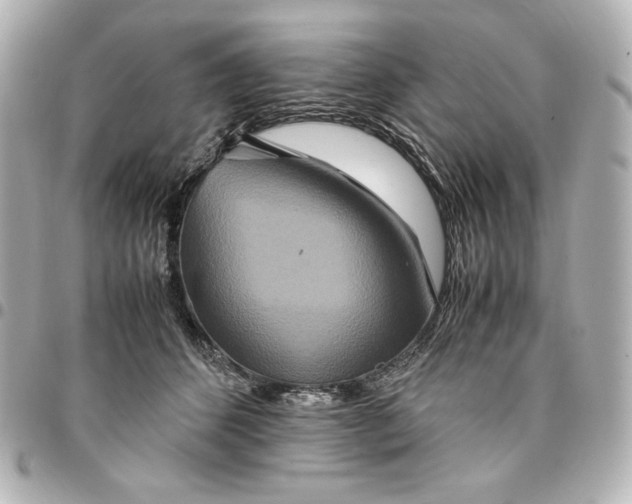 X0000094950512200712201141