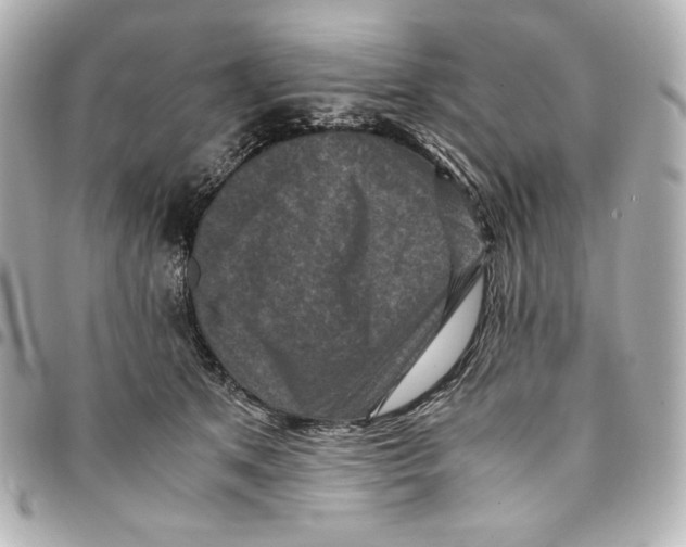 X0000094950513200712201141