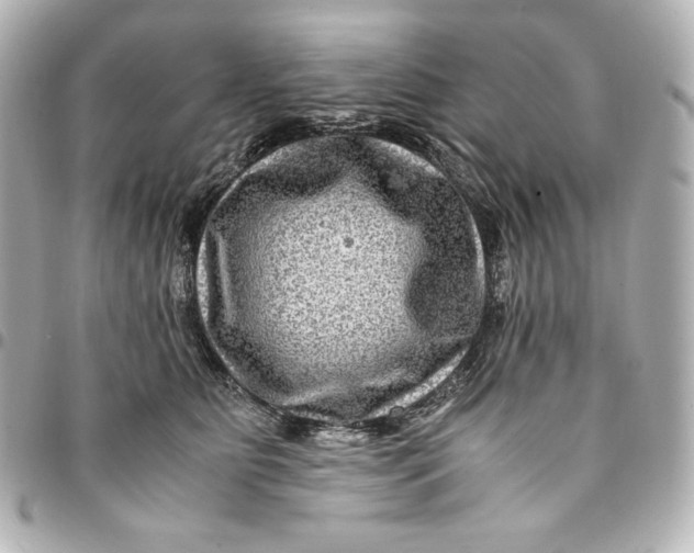 X0000094950515200712201141