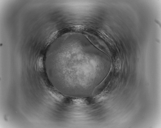 X0000094950516200712201141