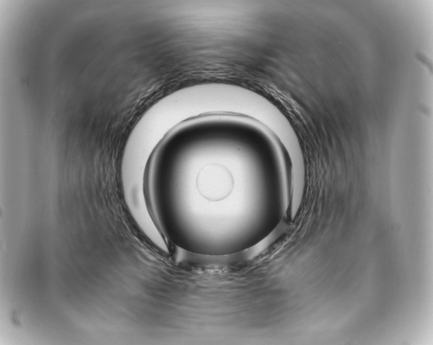 X0000094950517200712201141