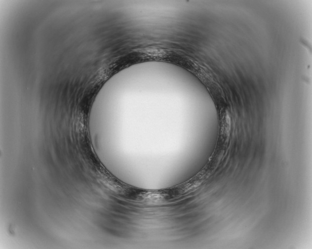 X0000094950518200712201141