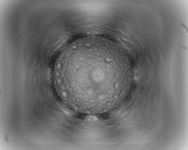 X0000094950519200712201141