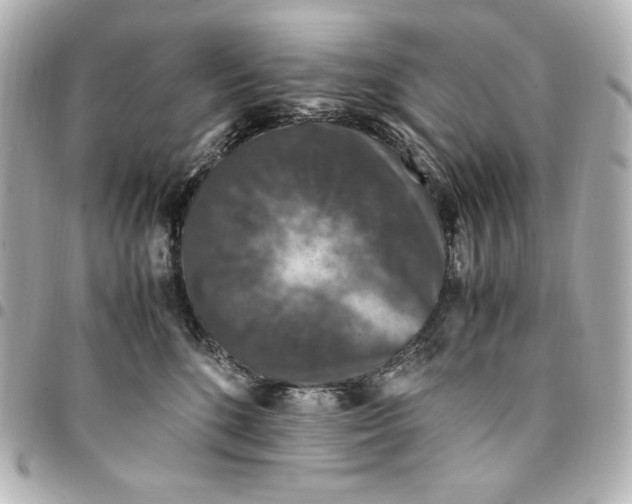 X0000094950520200712201141