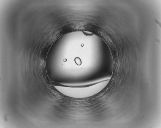 X0000094950521200712201140