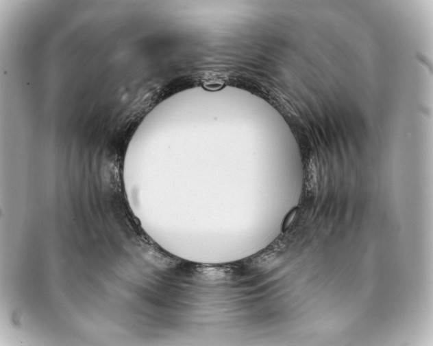 X0000094950522200712201140