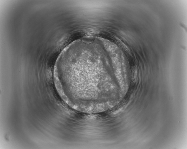 X0000094950523200712201140