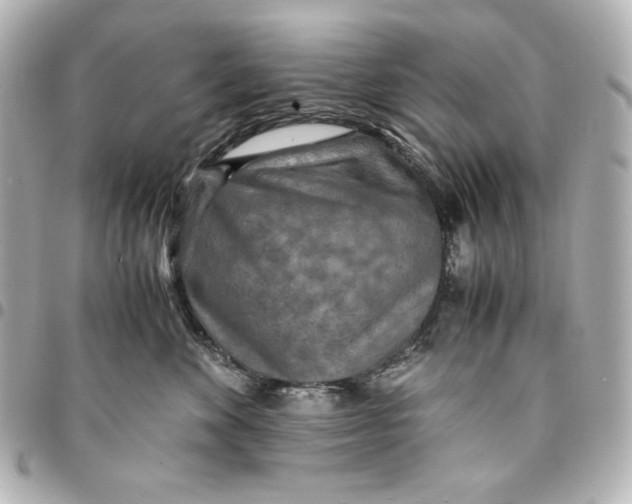 X0000094950524200712201140