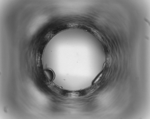 X0000094950525200712201140