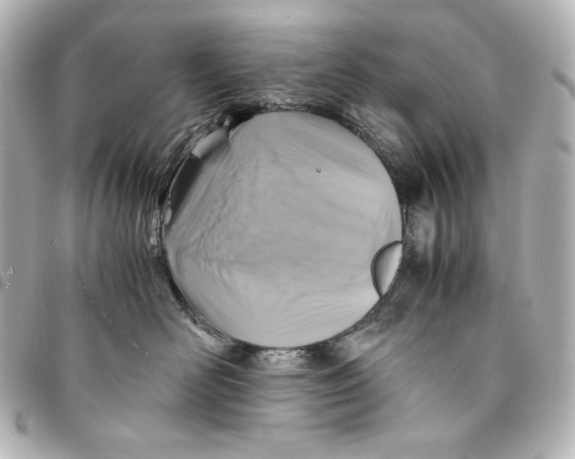 X0000094950526200712201140