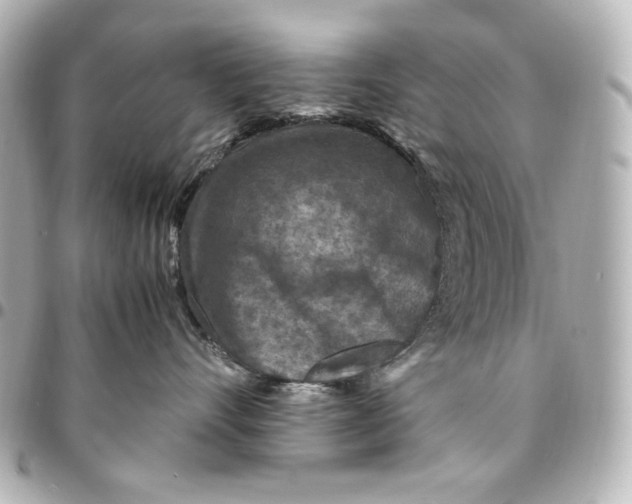 X0000094950528200712201140