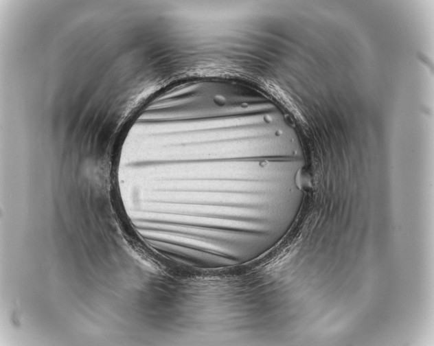 X0000094950530200712201140