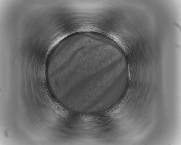 X0000094950531200712201140