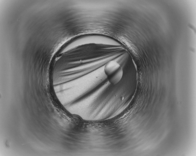 X0000094950532200712201140