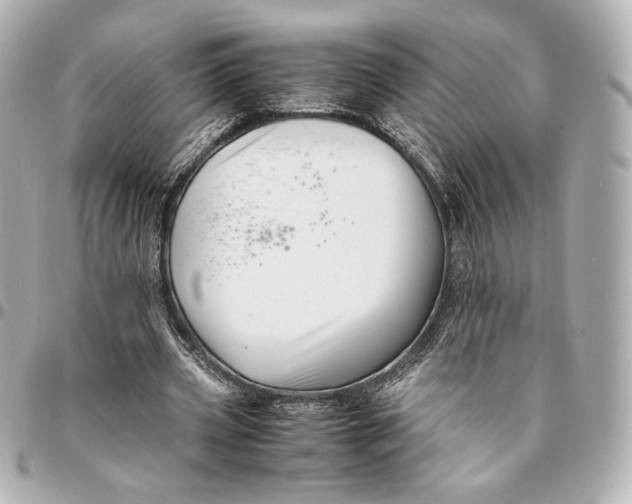 X0000094950533200712201140