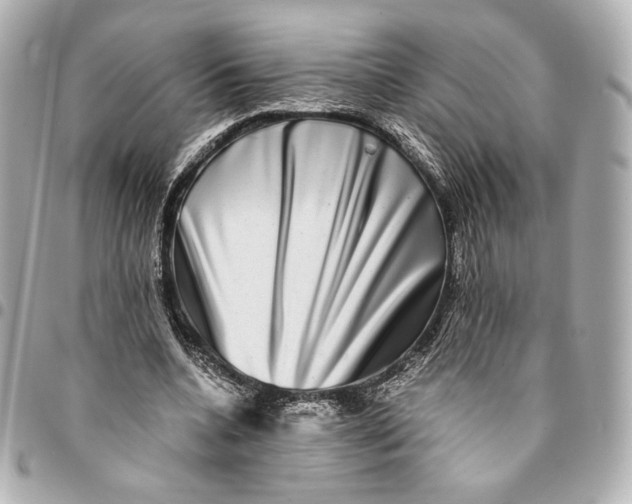 X0000094950536200712201140