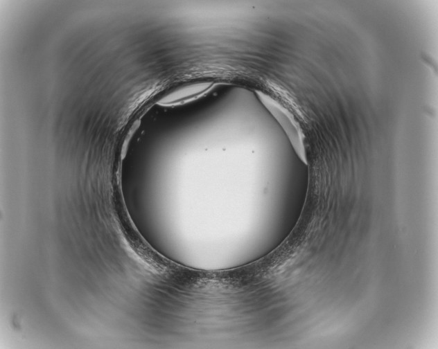 X0000094950538200712201140