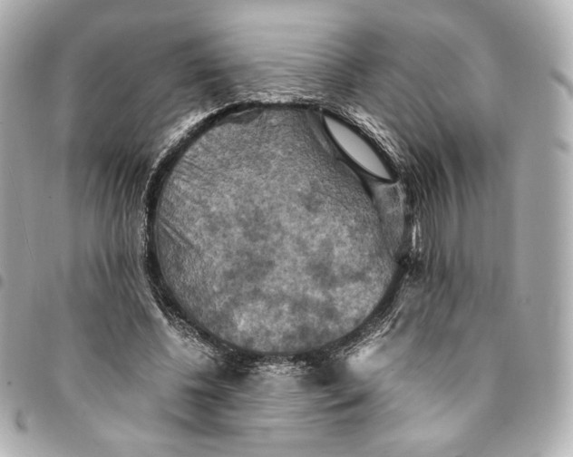 X0000094950540200712201140