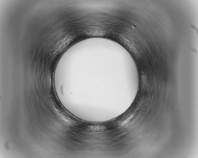 X0000094950541200712201140