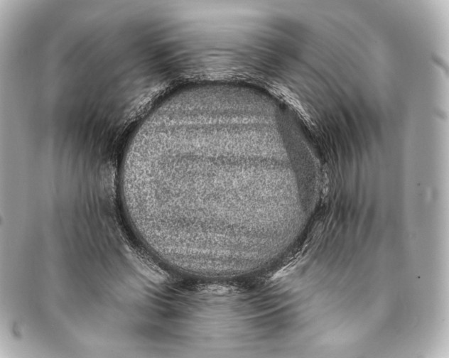 X0000094950542200712201140