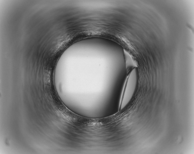 X0000094950543200712201140