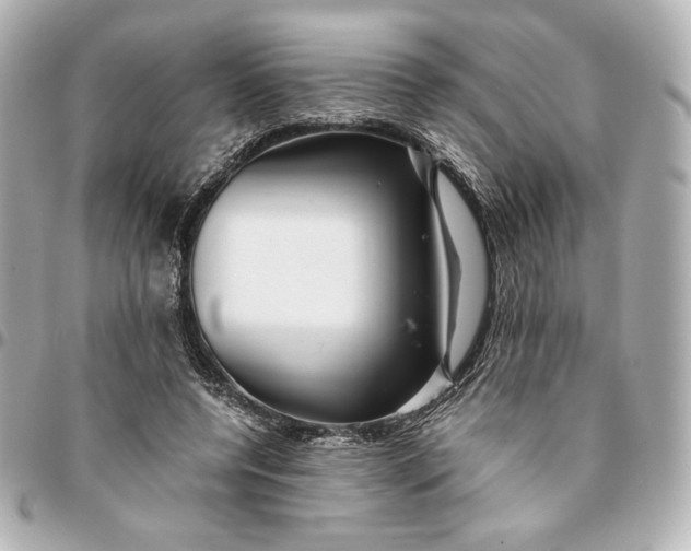 X0000094950544200712201140