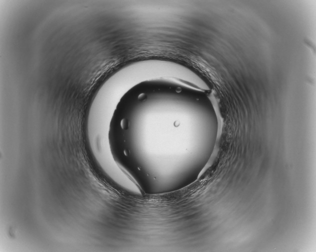 X0000094950546200712201140