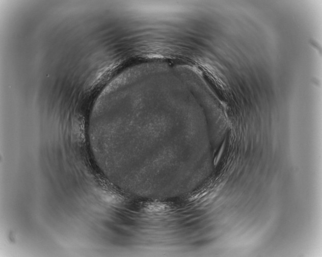 X0000094950547200712201140