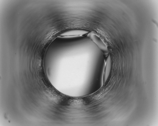 X0000094950548200712201140