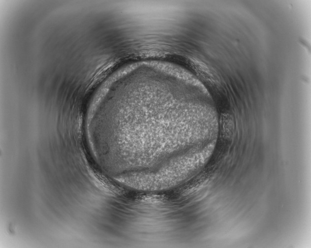 X0000094950550200712201140