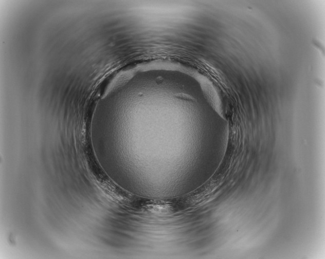 X0000094950552200712201140