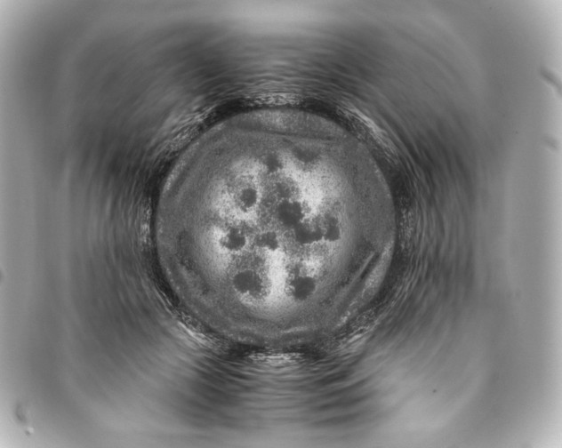 X0000094950553200712201140