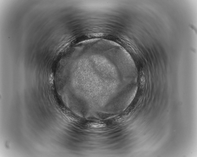 X0000094950555200712201140