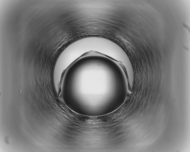 X0000094950556200712201140