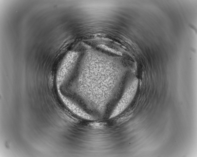 X0000094950558200712201140