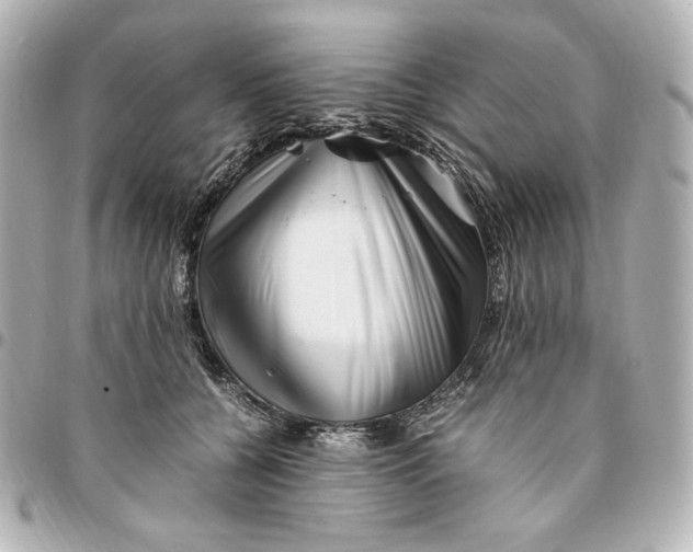 X0000094950560200712201140