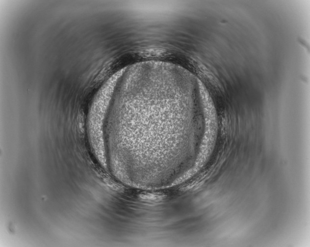 X0000094950561200712201140