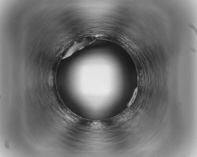 X0000094950562200712201140